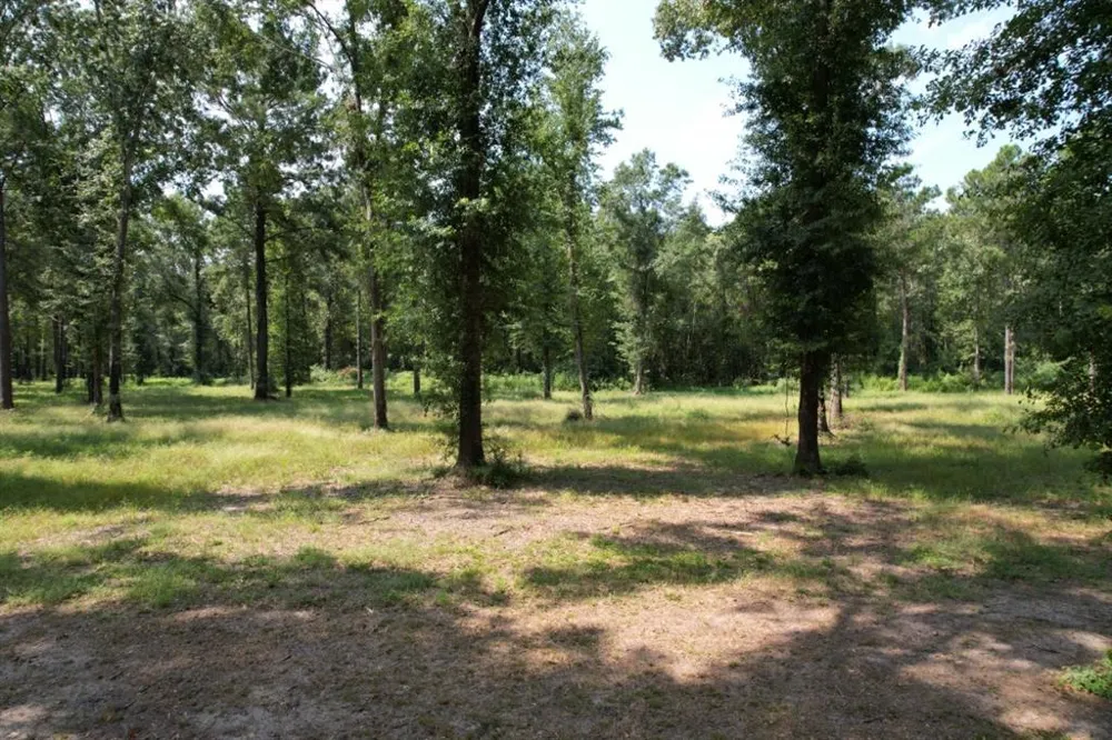 County Road 3545 Joaquin, TX 75954