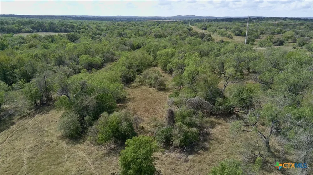 Dowdy Rd Seguin, TX 78155