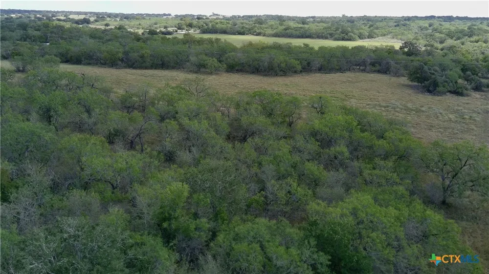 Dowdy Rd Seguin, TX 78155