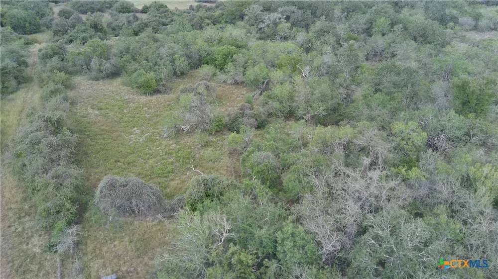 Dowdy Rd Seguin, TX 78155
