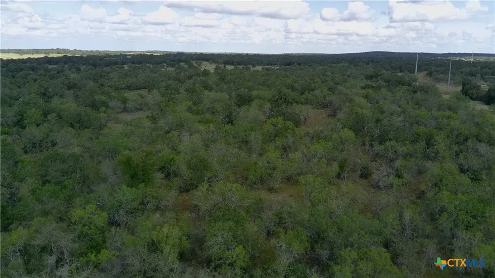 Dowdy Rd Seguin, TX 78155