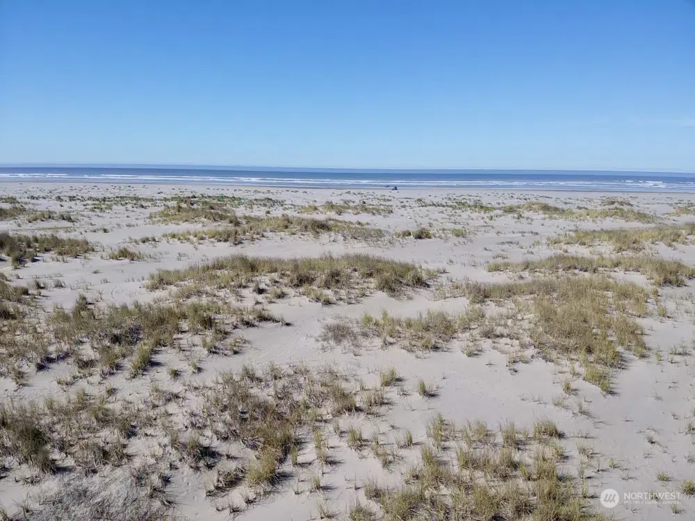 2081 State Route 105 Highway Grayland, WA 98547