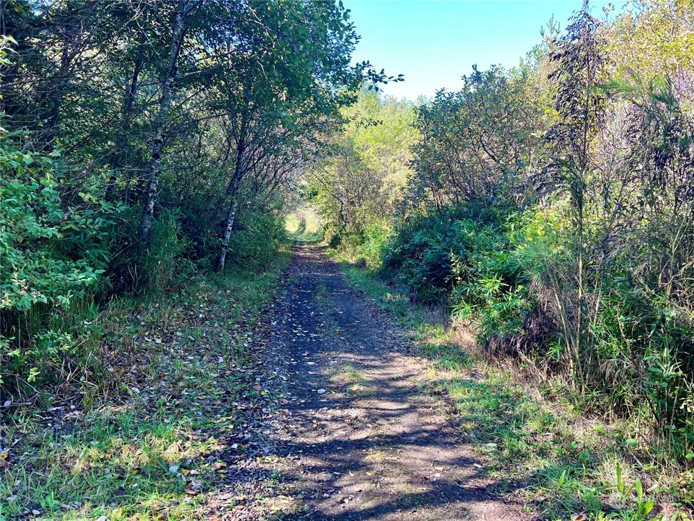 2081 State Route 105 Highway Grayland, WA 98547