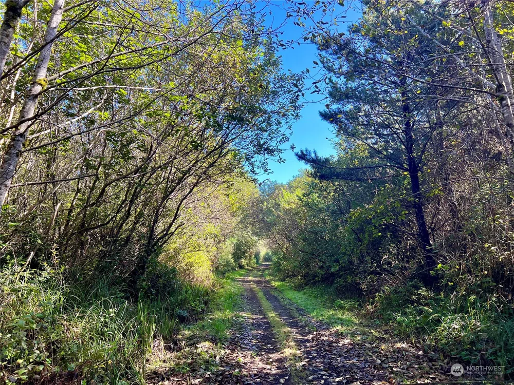 2081 State Route 105 Highway Grayland, WA 98547