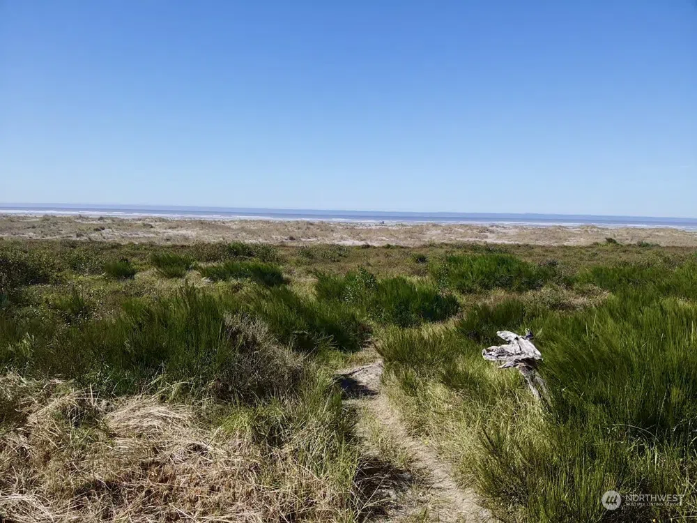 2081 State Route 105 Highway Grayland, WA 98547