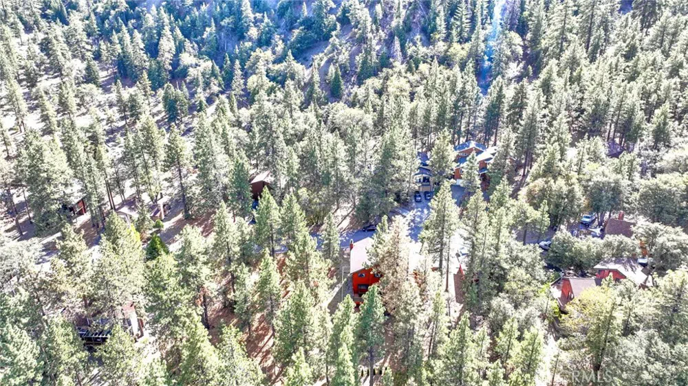 23109 Cardinal Road Wrightwood, CA 93563