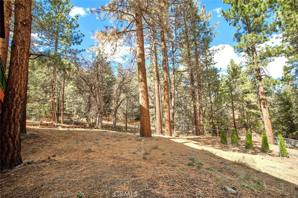 23109 Cardinal Road Wrightwood, CA 93563