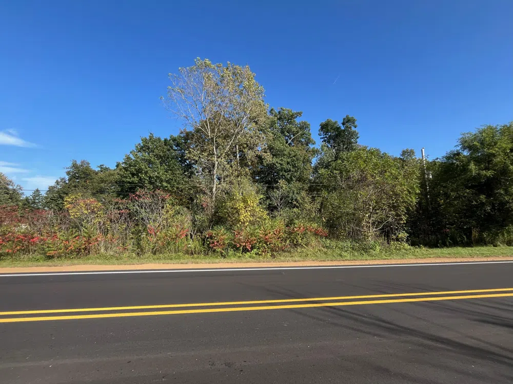 Morrill Road Jackson, MI 49201