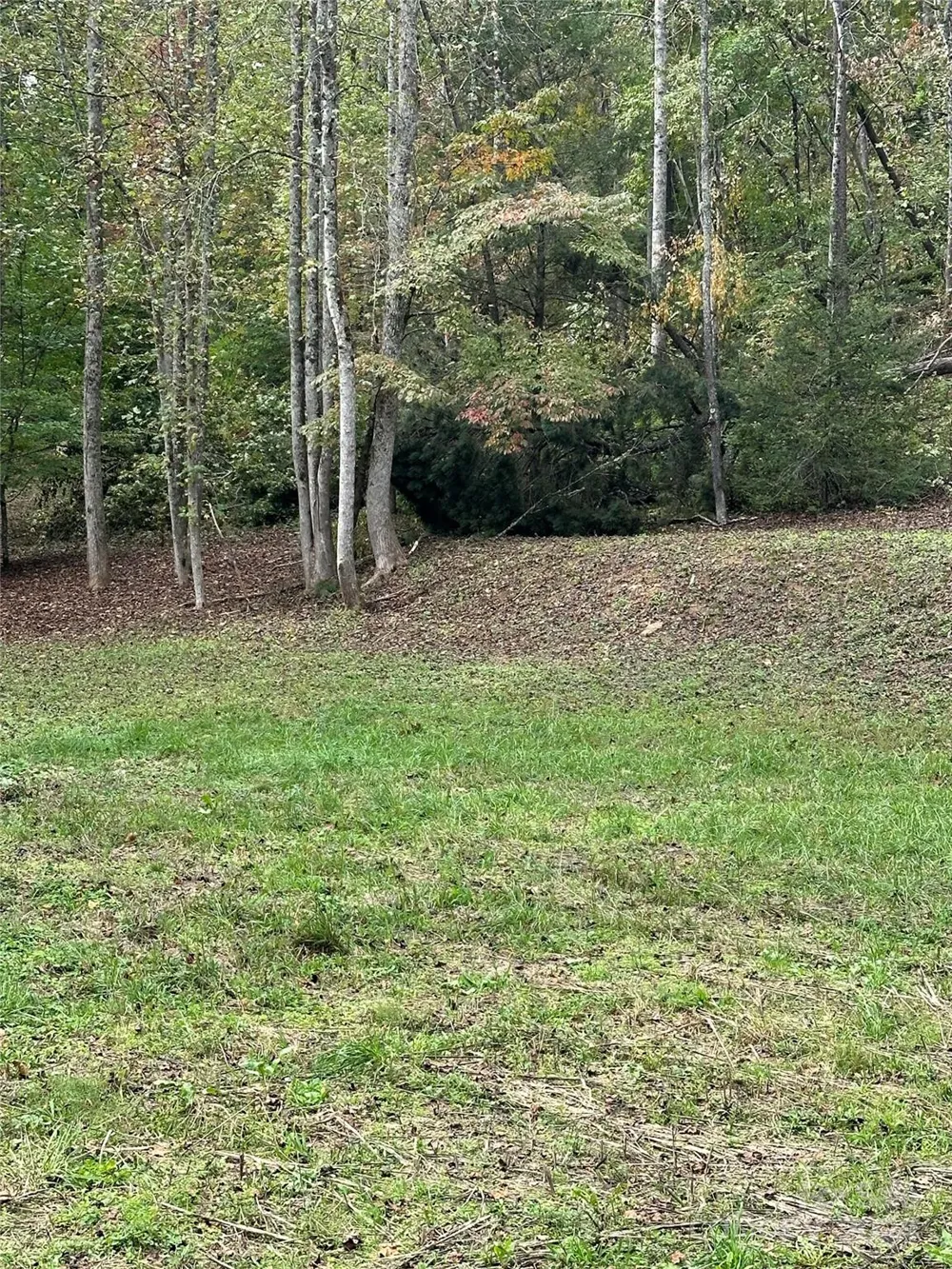 Address Not Shown Old Fort, NC 28762