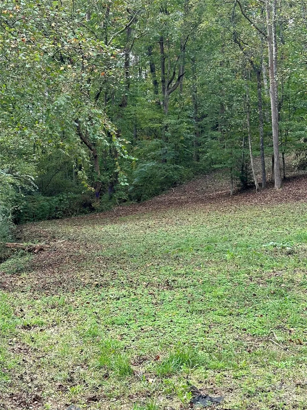 Address Not Shown Old Fort, NC 28762