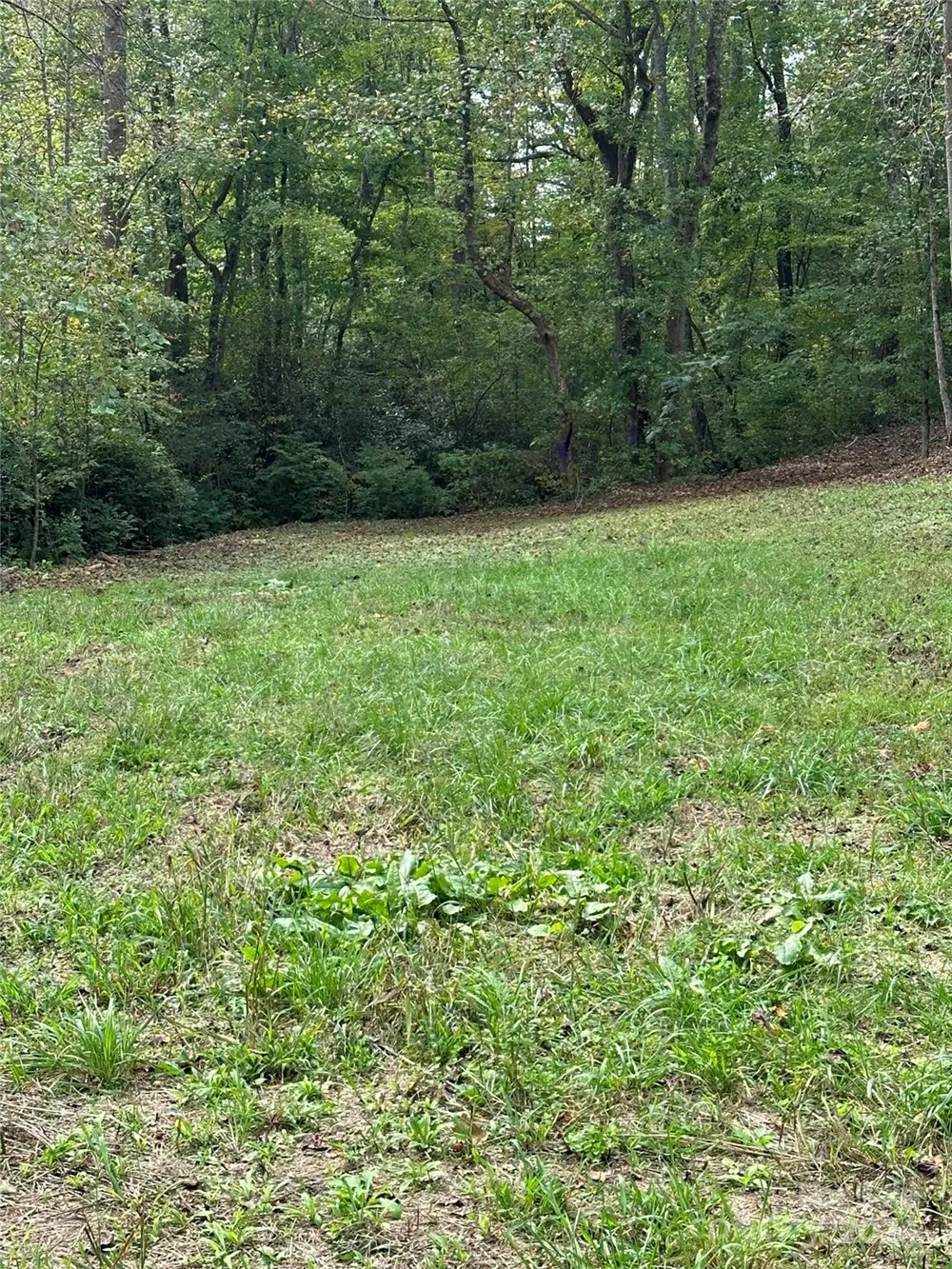 Address Not Shown Old Fort, NC 28762
