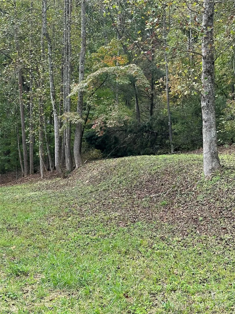 Address Not Shown Old Fort, NC 28762