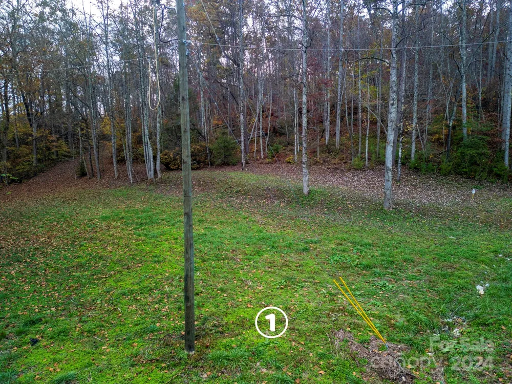 Address Not Shown Old Fort, NC 28762