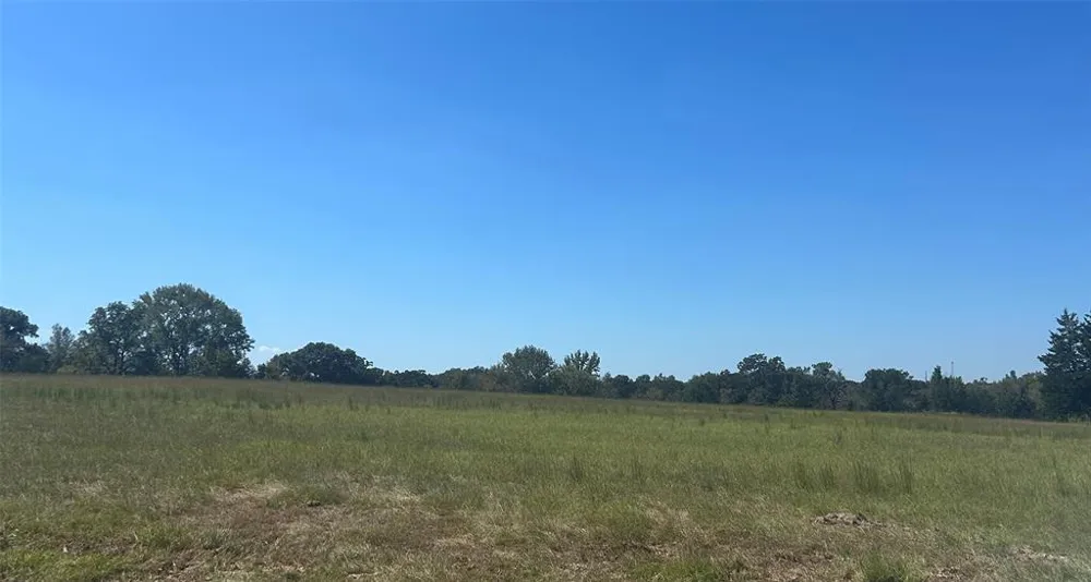 FM 607 S Murchison, TX 75778