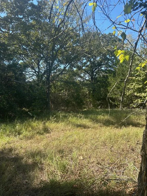 FM 607 S Murchison, TX 75778