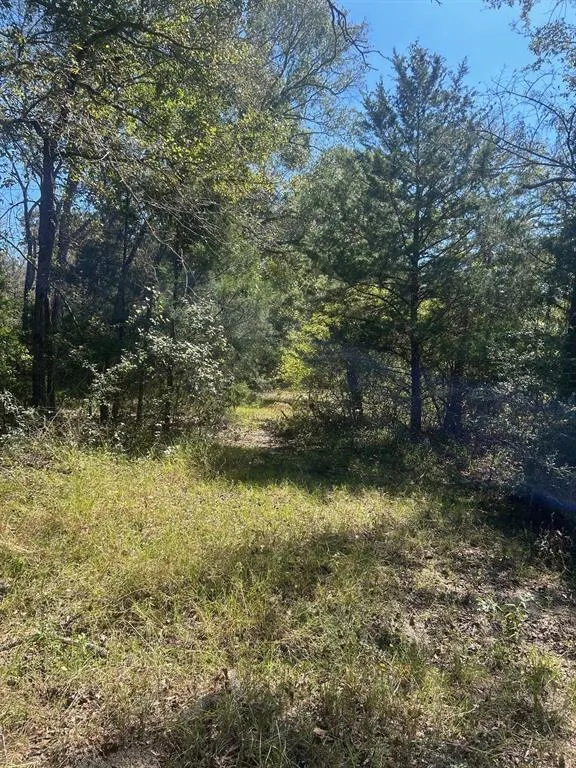 FM 607 S Murchison, TX 75778
