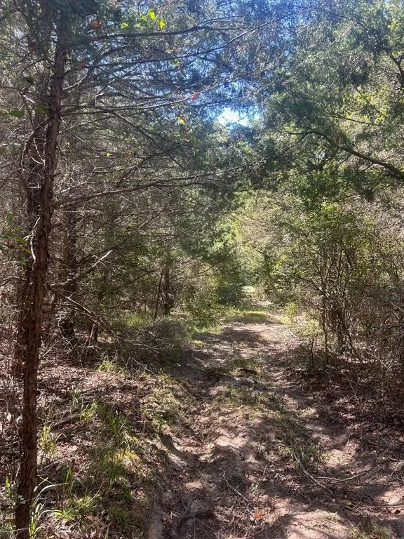 FM 607 S Murchison, TX 75778