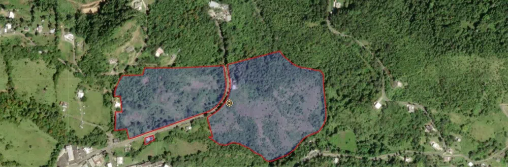 PR 185 KM 15.6 BO CEDRO Carolina, PR 00979