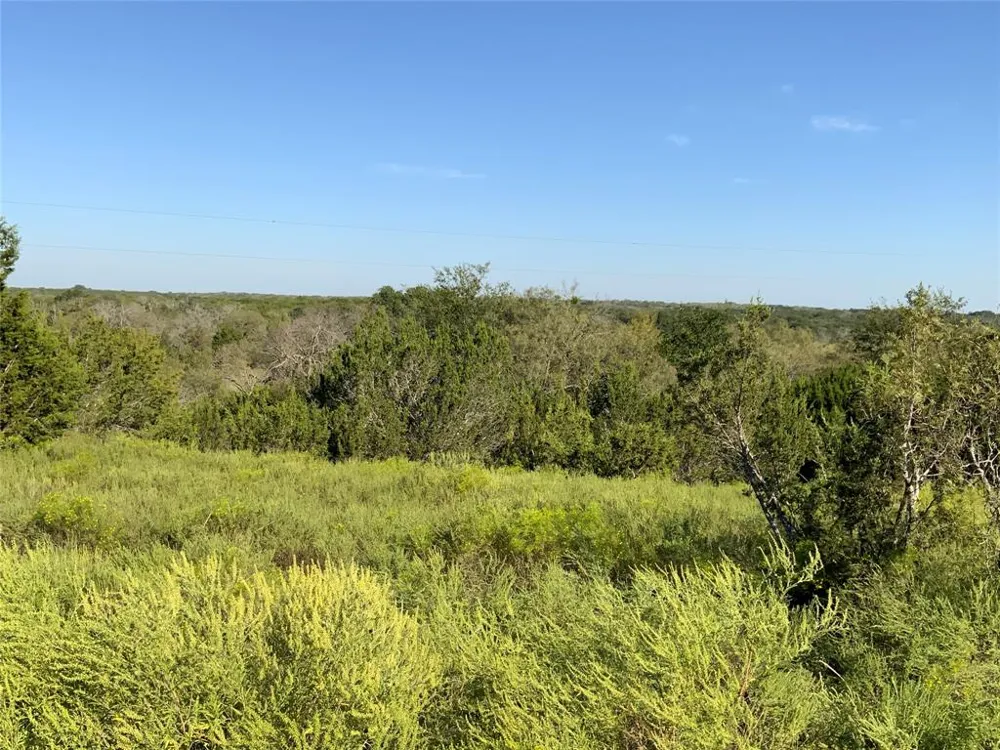 County Road 386 Carlton, TX 76436