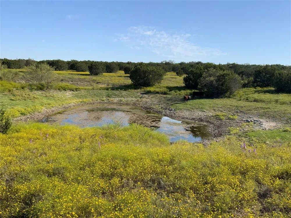 County Road 386 Carlton, TX 76436
