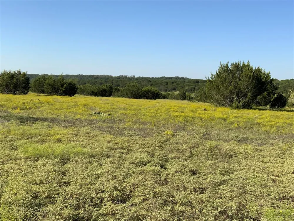 County Road 386 Carlton, TX 76436