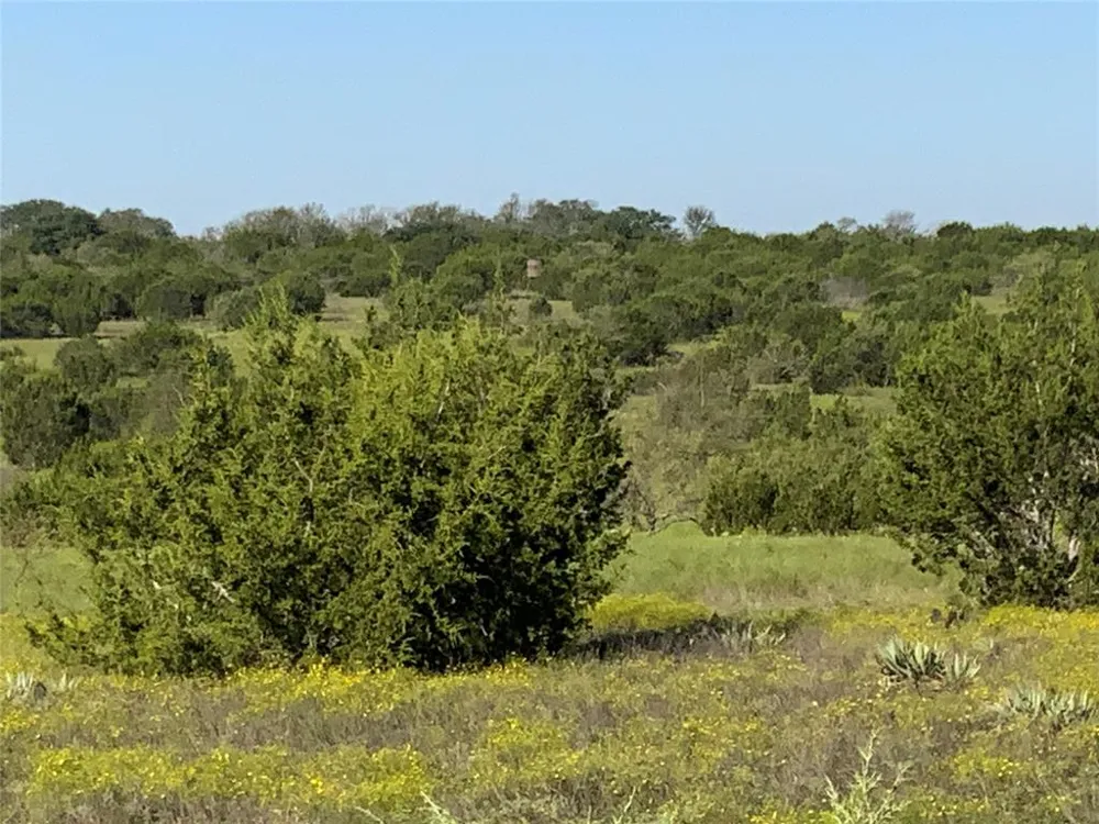 County Road 386 Carlton, TX 76436
