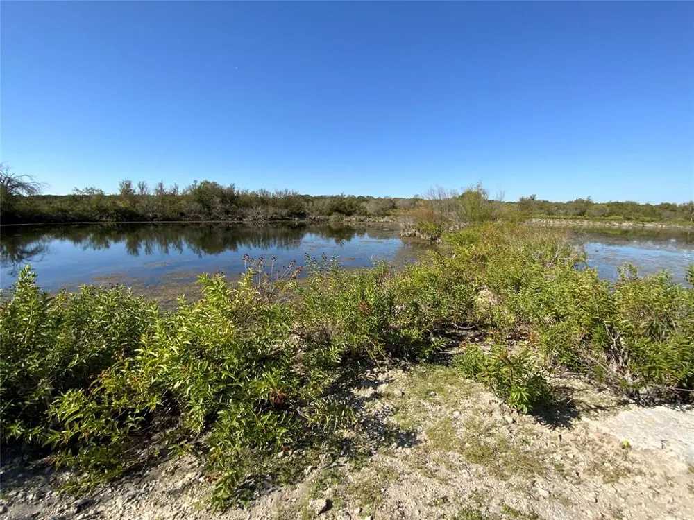 County Road 386 Carlton, TX 76436