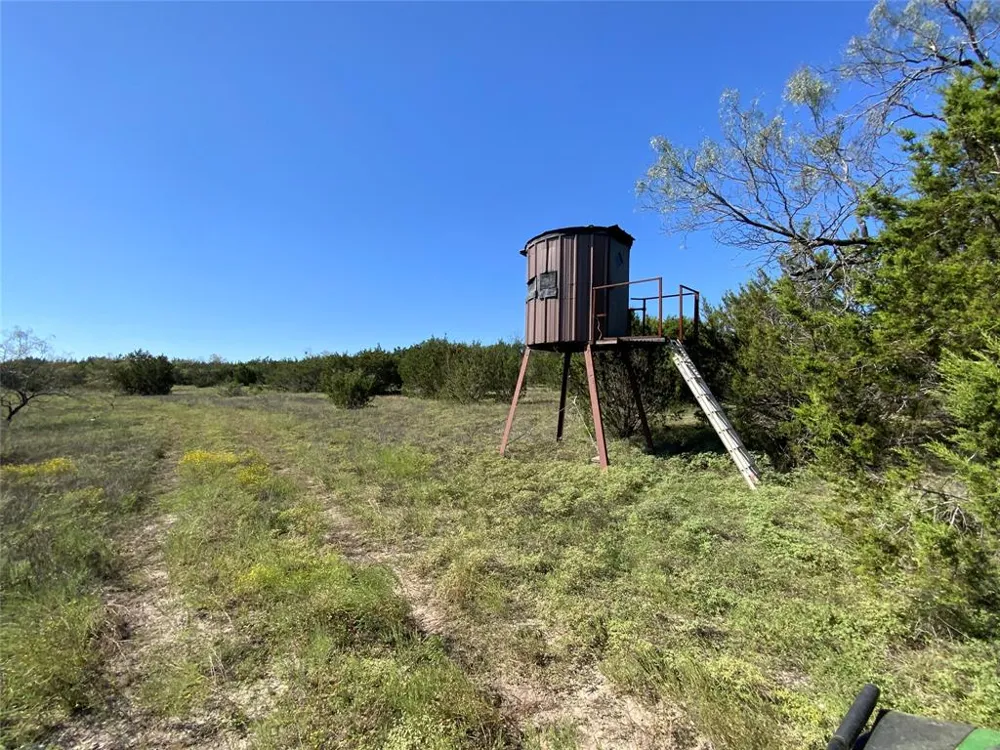 County Road 386 Carlton, TX 76436