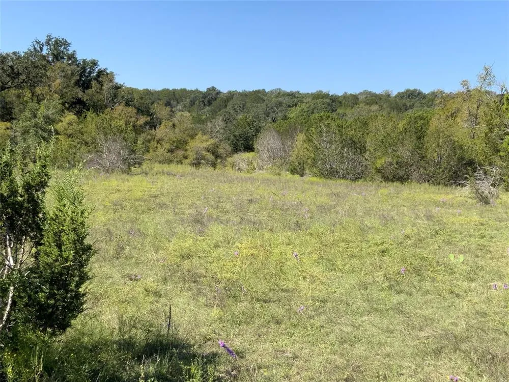 County Road 386 Carlton, TX 76436