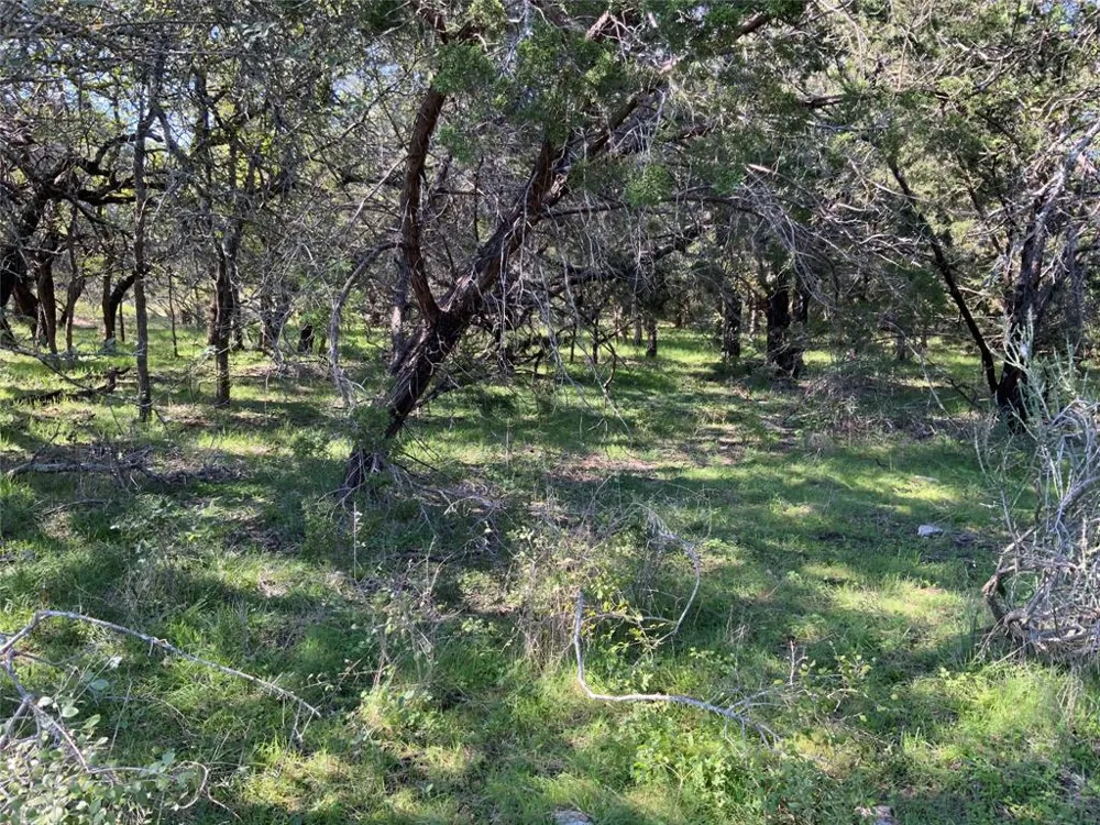 County Road 386 Carlton, TX 76436