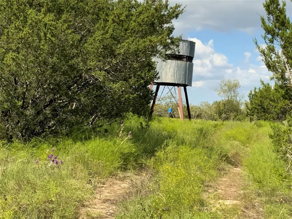 County Road 386 Carlton, TX 76436