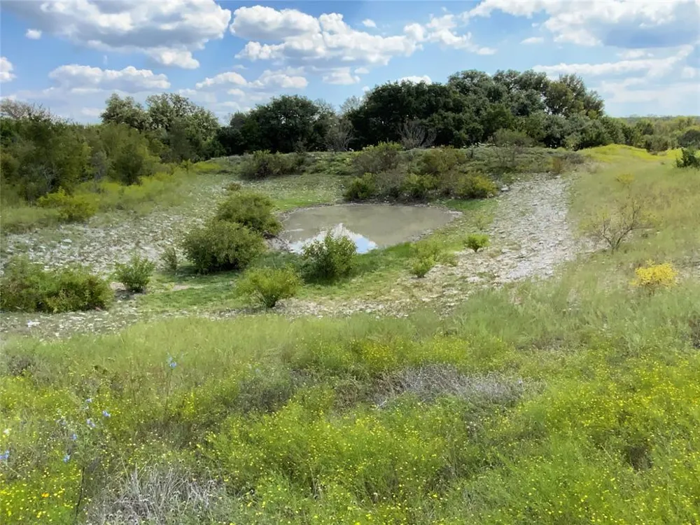 County Road 386 Carlton, TX 76436