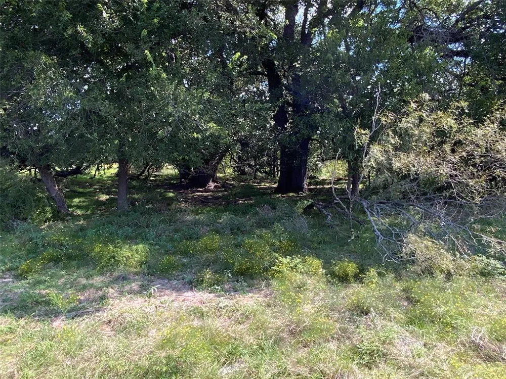 County Road 386 Carlton, TX 76436