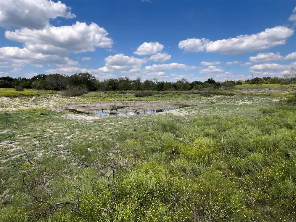 County Road 386 Carlton, TX 76436
