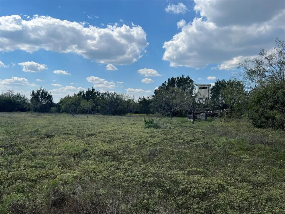 County Road 386 Carlton, TX 76436