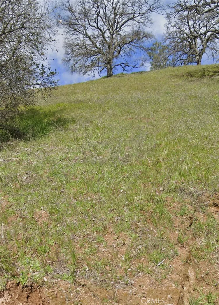 12115 Lakeview Drive Clearlake Oaks, CA 95423