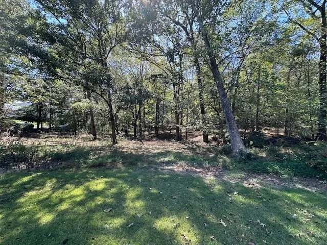 0 Sales Landing Rd Camden, TN 38320