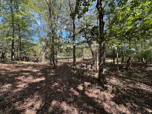 0 Sales Landing Rd Camden, TN 38320