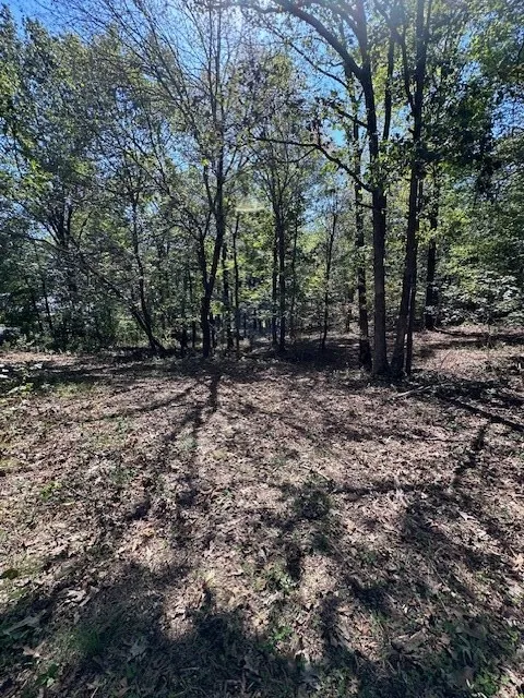 0 Sales Landing Rd Camden, TN 38320