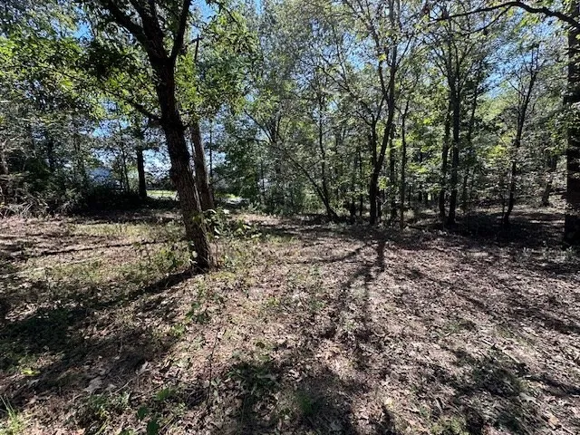 0 Sales Landing Rd Camden, TN 38320