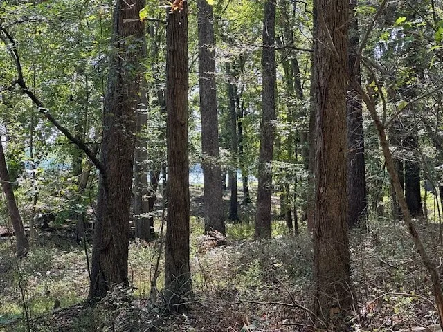 0 Sales Landing Rd Camden, TN 38320