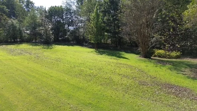 0 Sales Landing Rd Camden, TN 38320