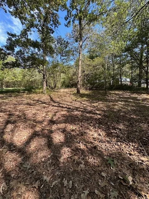 0 Sales Landing Rd Camden, TN 38320