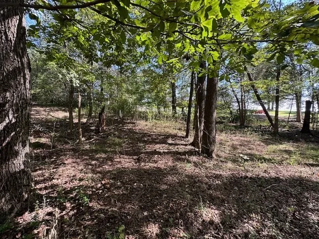 0 Sales Landing Rd Camden, TN 38320