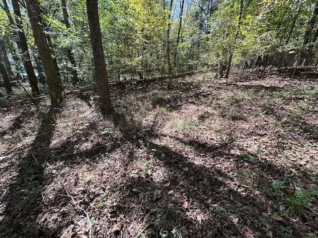 0 Sales Landing Rd Camden, TN 38320