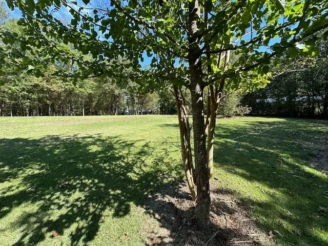 0 Sales Landing Rd Camden, TN 38320