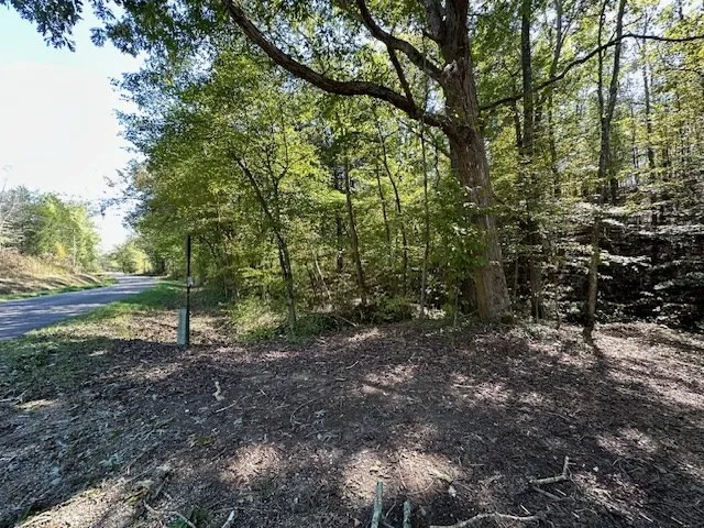 0 Sales Landing Rd Camden, TN 38320