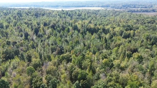 0 Sales Landing Rd Camden, TN 38320