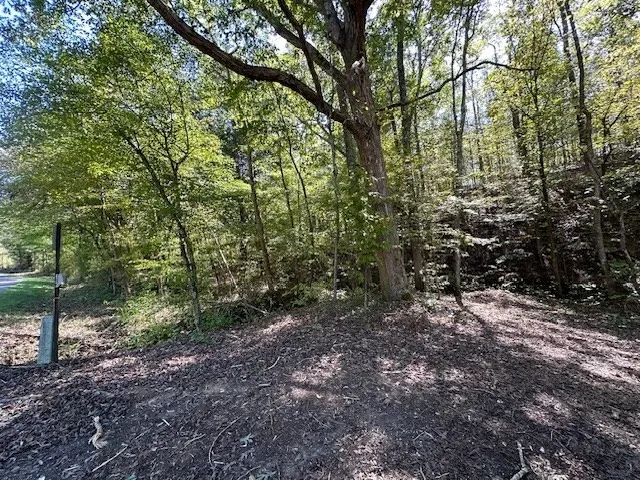 0 Sales Landing Rd Camden, TN 38320