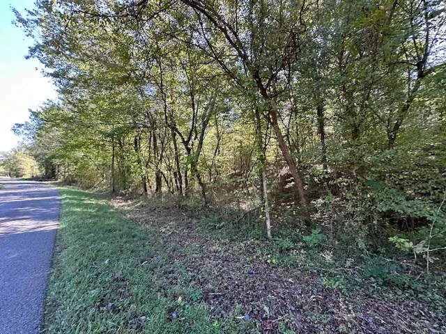 0 Sales Landing Rd Camden, TN 38320